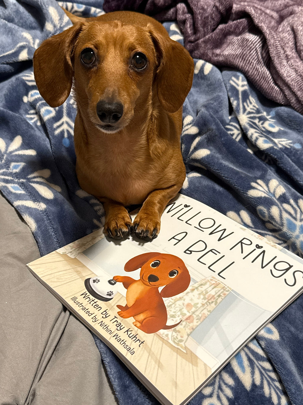 Willow Rings a Bell Paperback- Signed by Tray & Willow