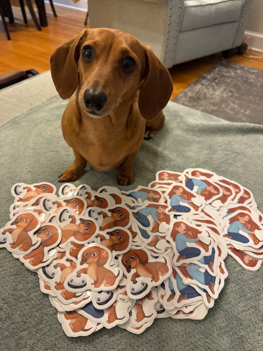 Willow Sticker