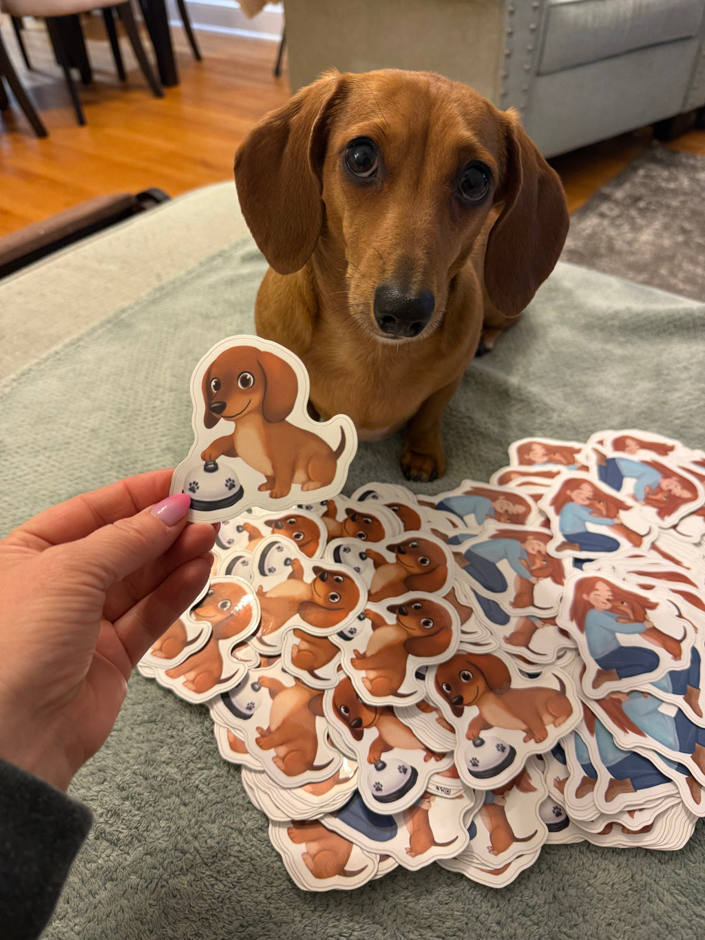 Willow Sticker