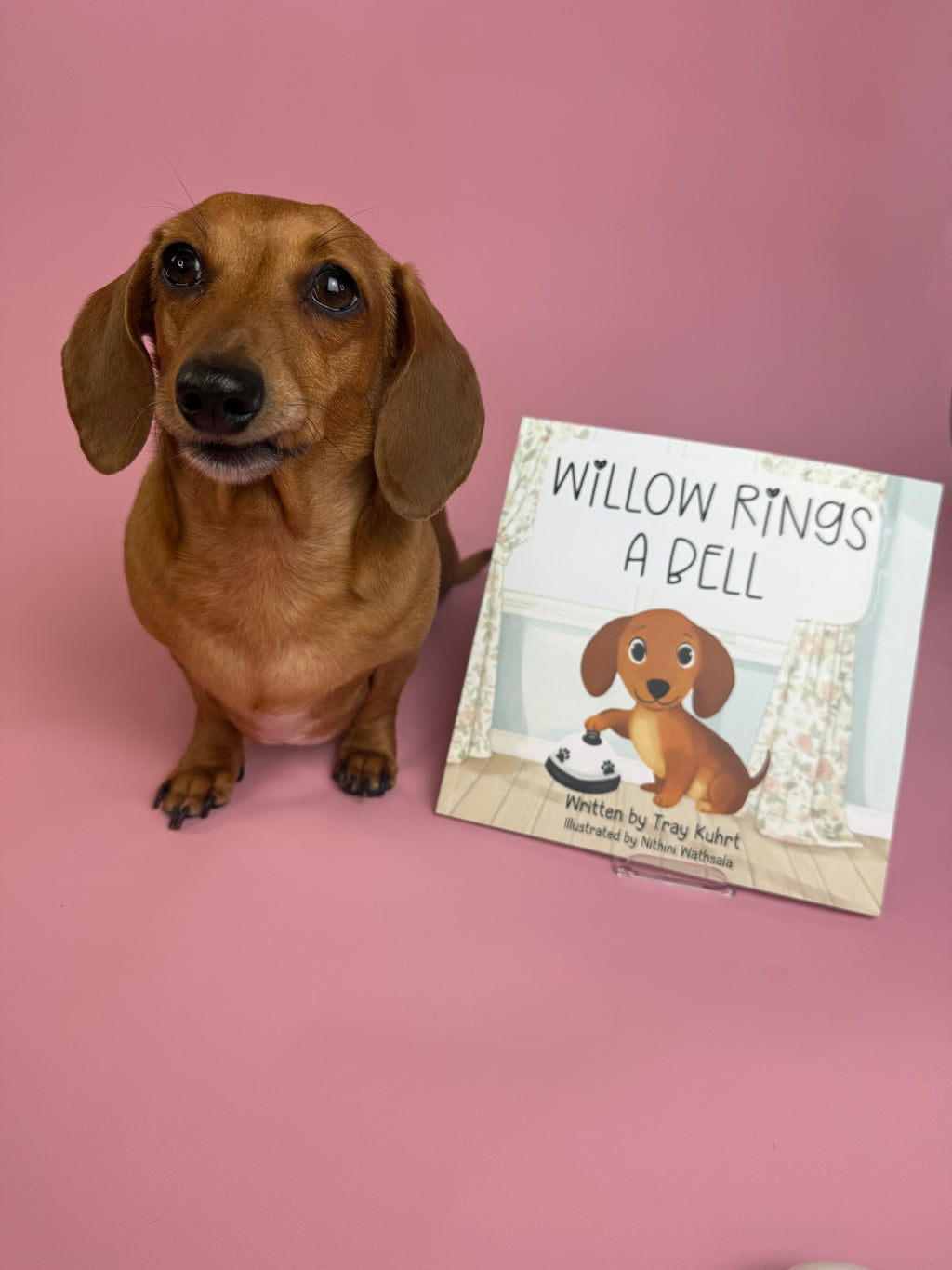 Willow Rings a Bell Paperback- Signed by Tray & Willow