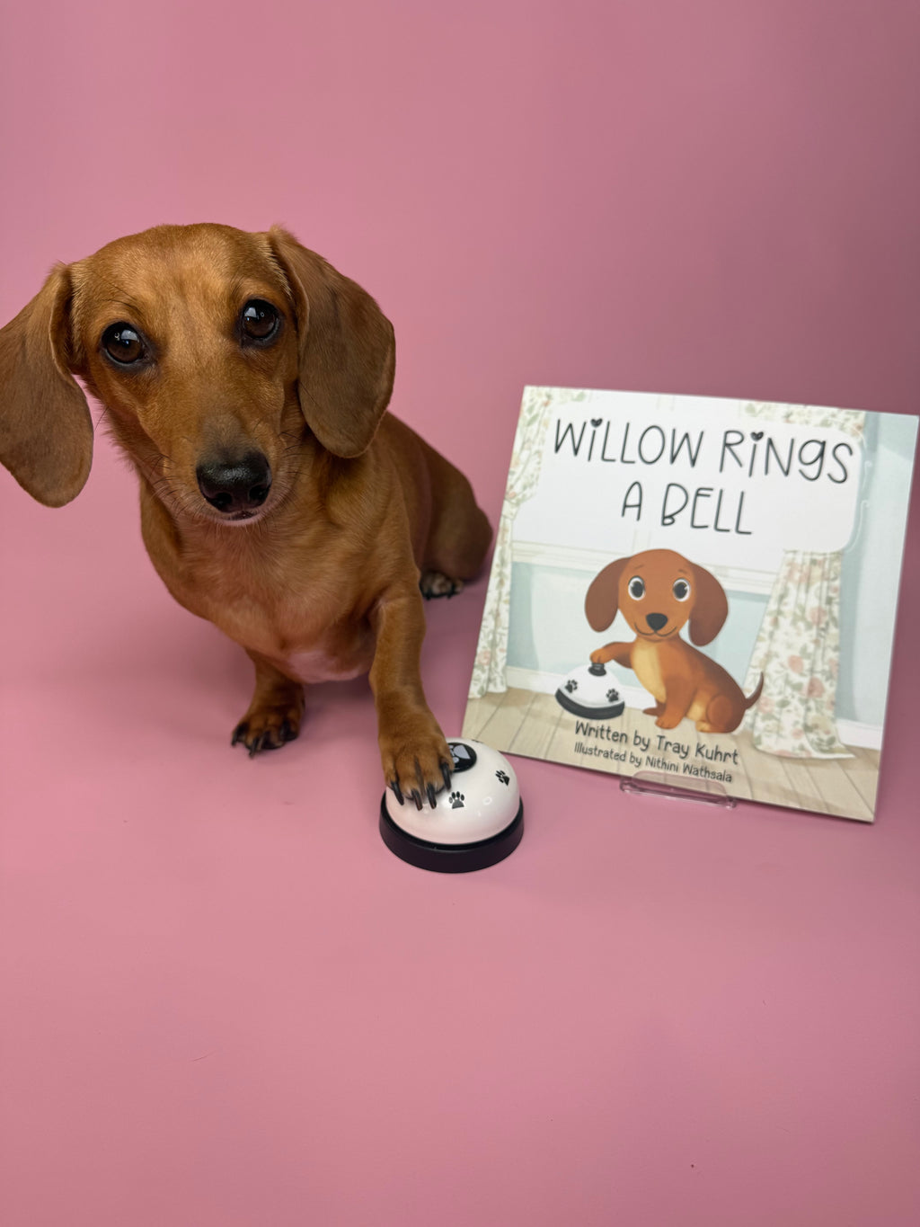 Willow Rings a Bell Paperback- Signed by Tray & Willow