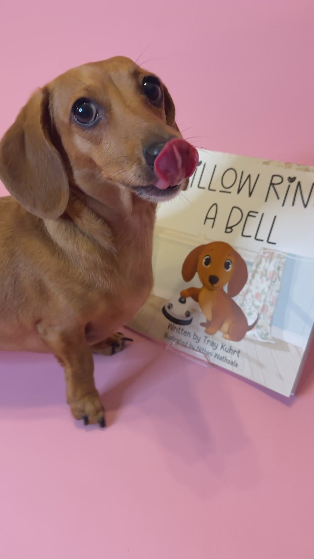 Willow Rings a Bell Paperback- Signed by Tray & Willow