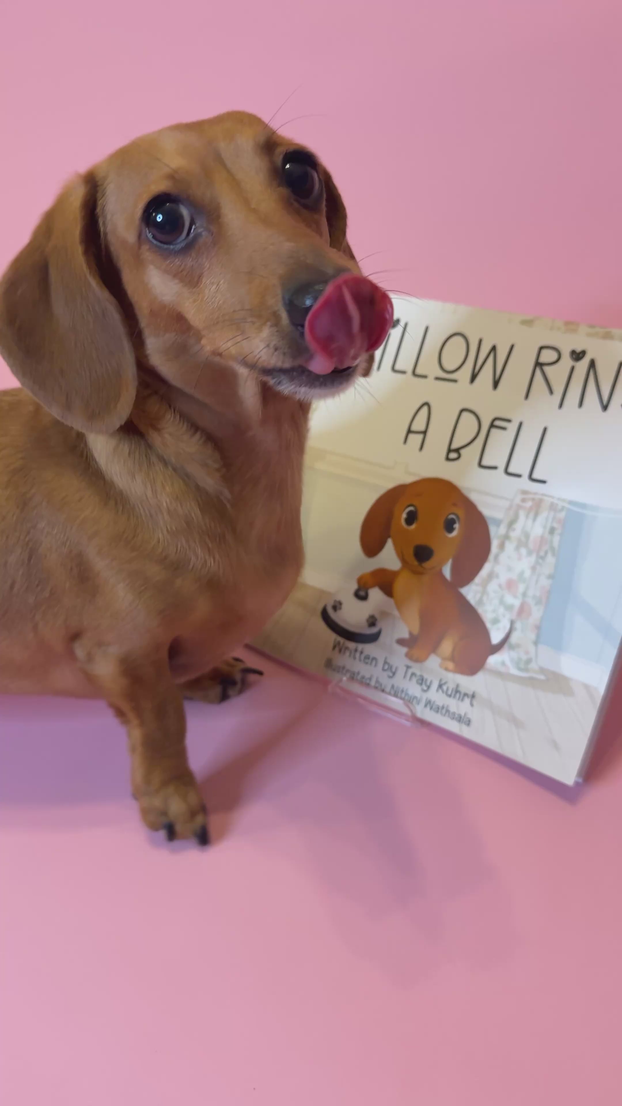 Willow Rings a Bell Paperback- Signed by Tray & Willow